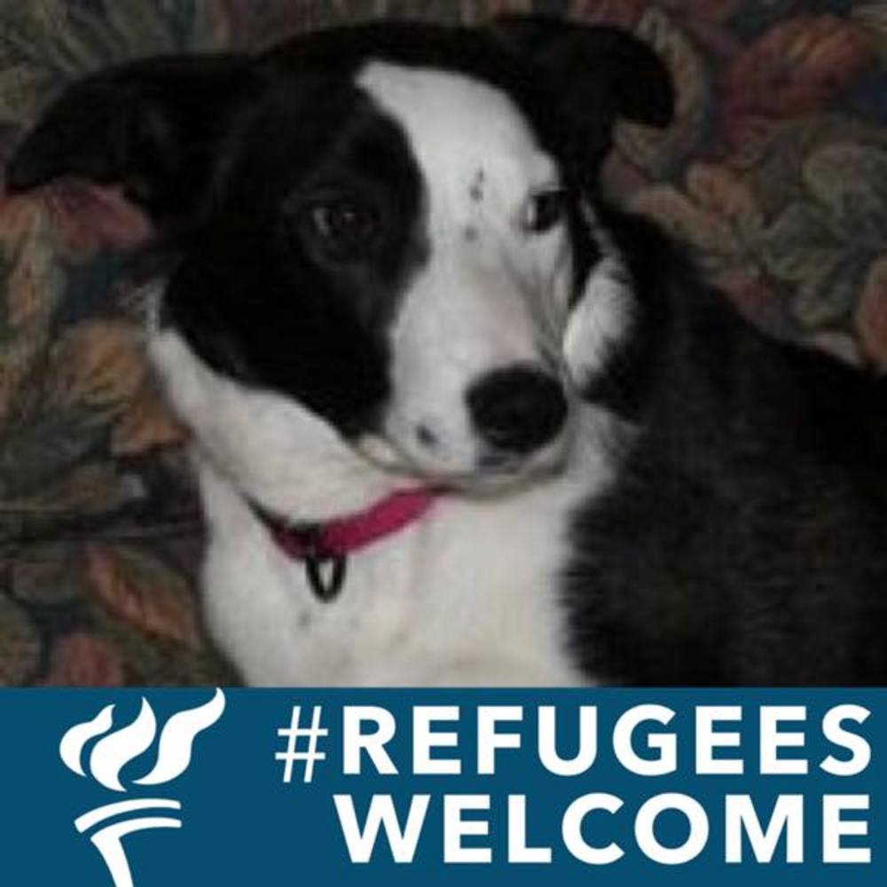 Meet your Posher, Dawn